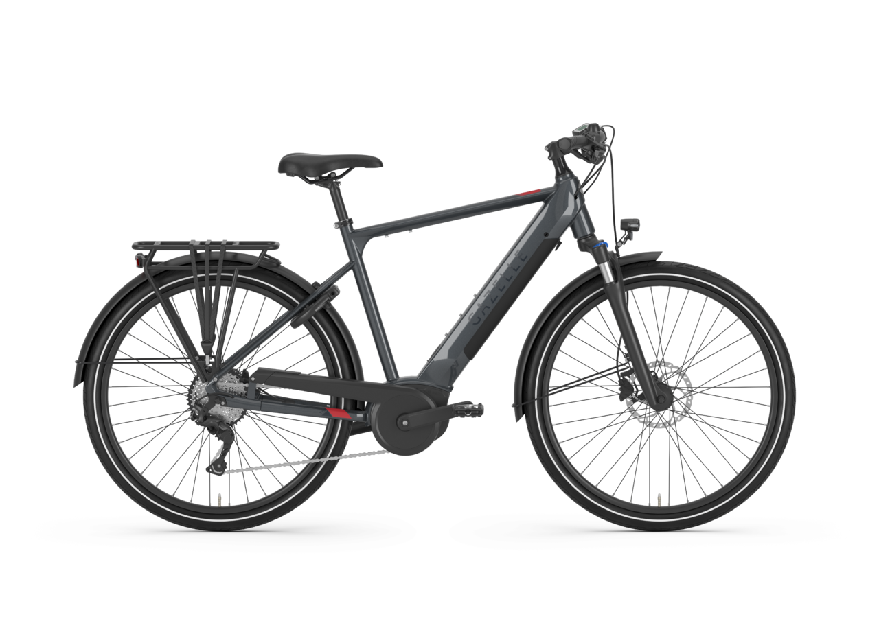 Gazelle Medeo T10