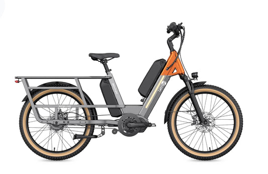 Letrigo Minivan Dual Battery 25 AH